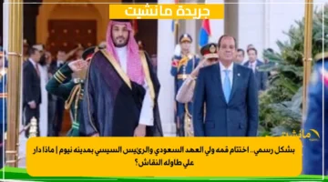 بشكل رسمي.. اختتام قمة ولي العهد السعودي والرئيس السيسي بمدينة نيوم ماذا دار على طاولة النقاش؟ 1